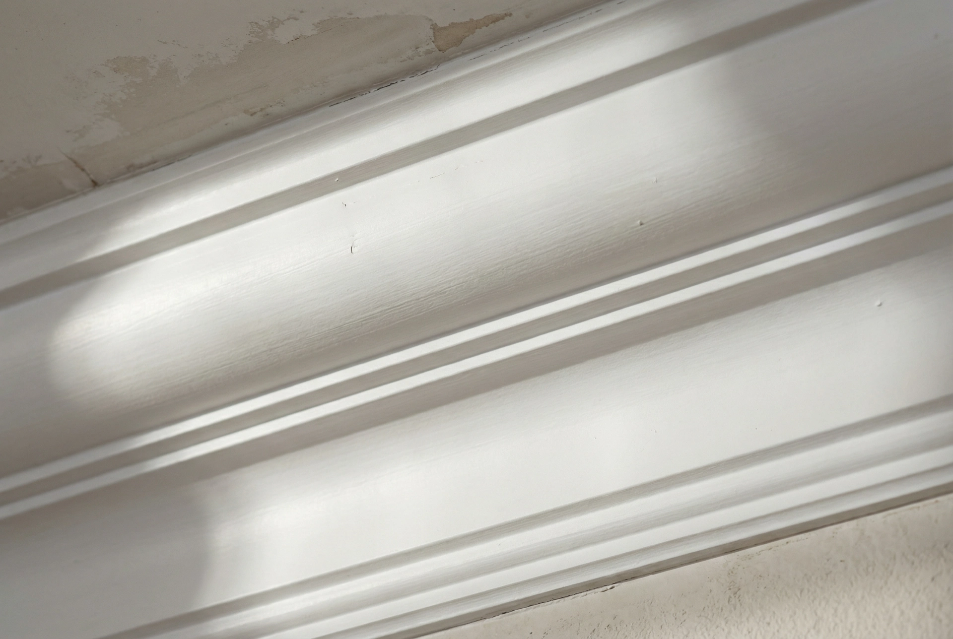 Traditional ogee crown molding in Washington DC formal dining room — S-curve profile with shadow